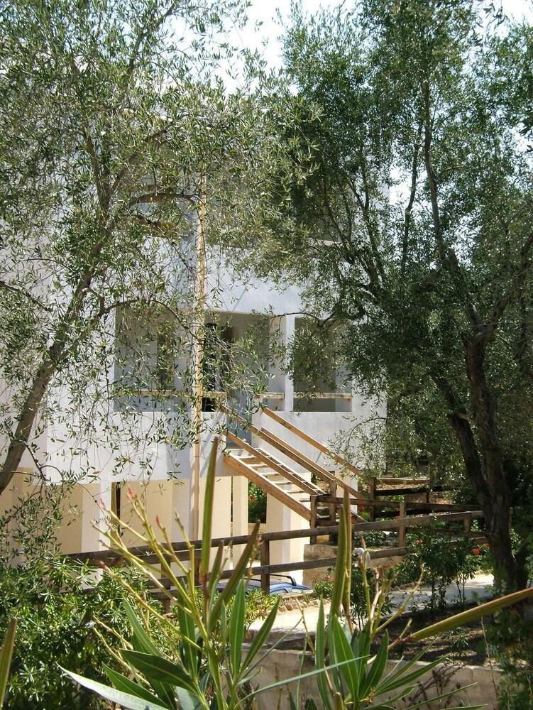 Villaggio Gallo Vieste Dış mekan fotoğraf
